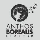 Anthos Borealis